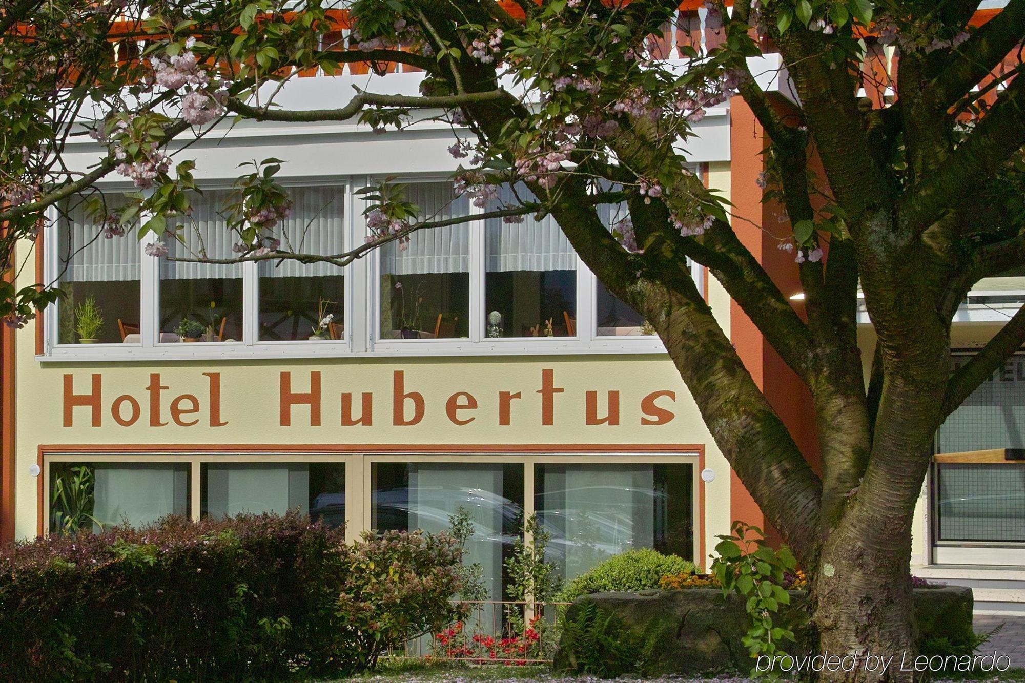 Akzent Hubertus Hotel Бад Петерстал-Грисбах Екстериор снимка